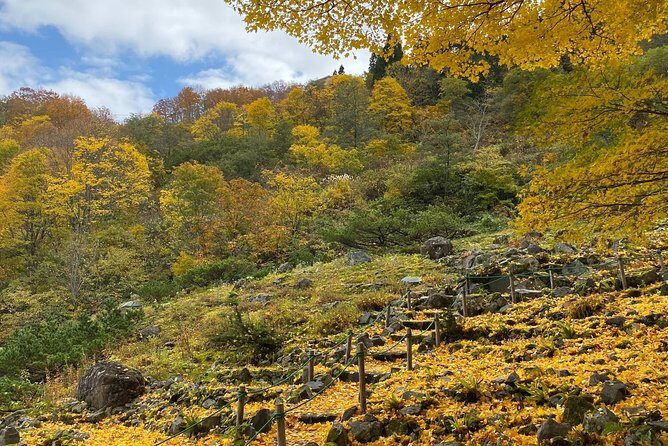 Niigata Private Customizable Full Day Tour - The Sites You Might Choose