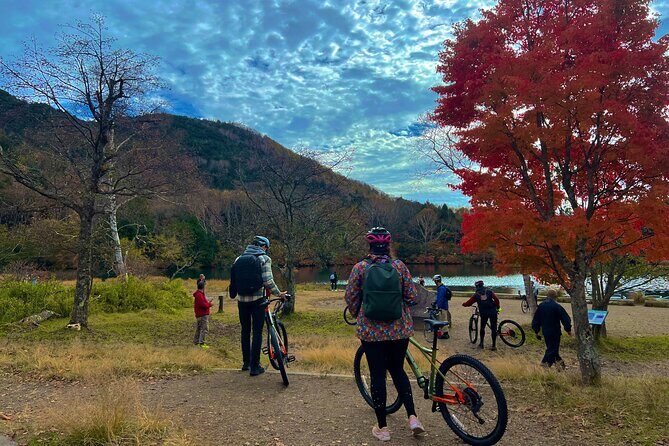 Nikko Cycling Tour with Local Guide - The Itinerary: What You’ll Experience