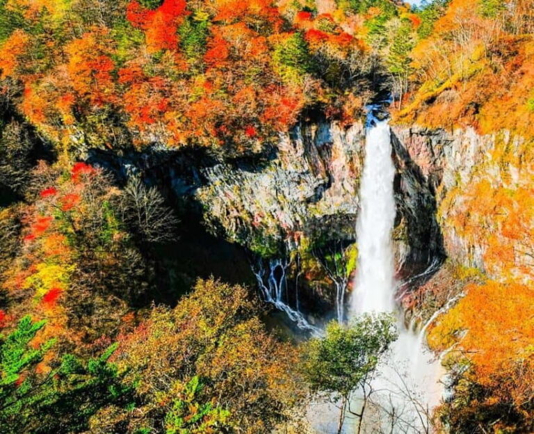 Nikko Day Tour from Tokyo with English Speaking Driver - The Practical Side: Transportation, Costs, and Timing