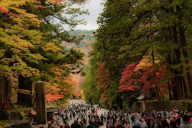 Nikko Private Customizable Half Day Tour - An Overview of the Tour Setup