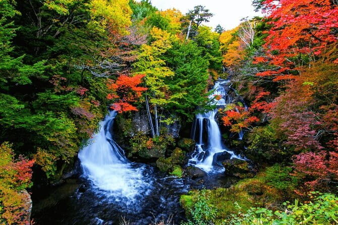 Nikko Private Day Trip with English Speaking Driver From Tokyo - What Past Travelers Say