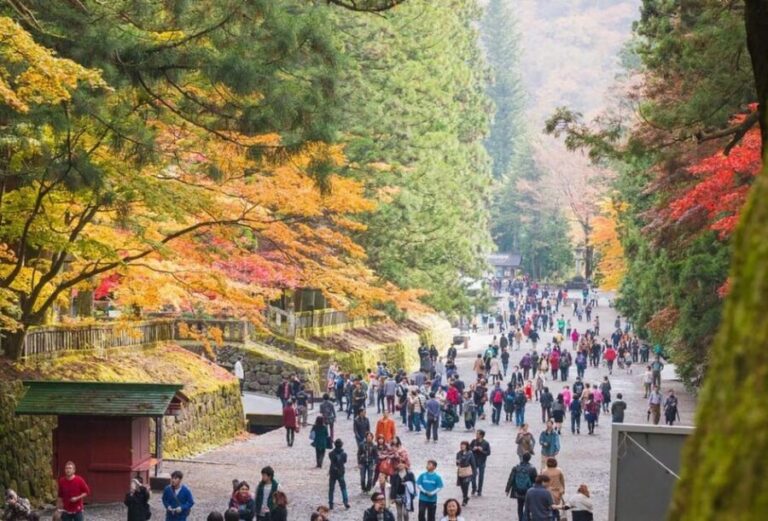 Nikko World Heritage Tour With English Drivers - An In-Depth Look at the Nikko World Heritage Tour