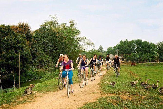 Ninh Binh - Bai Dinh - Trang An full day trip from Hanoi with luxury transfers - Why This Tour Works Well