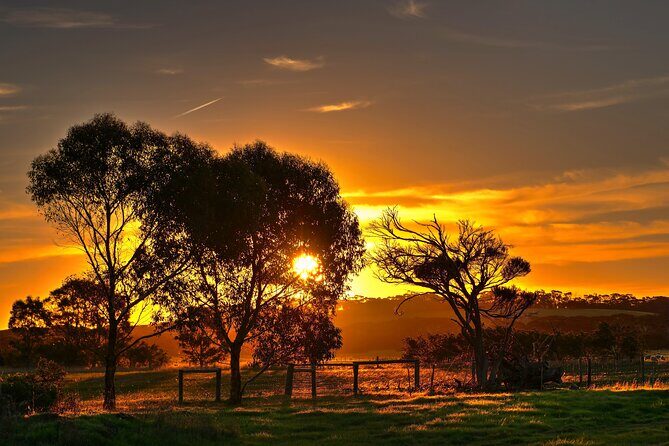 Nocturnal Tour of Kangaroo Island - Final Thoughts: Is It Worth It?