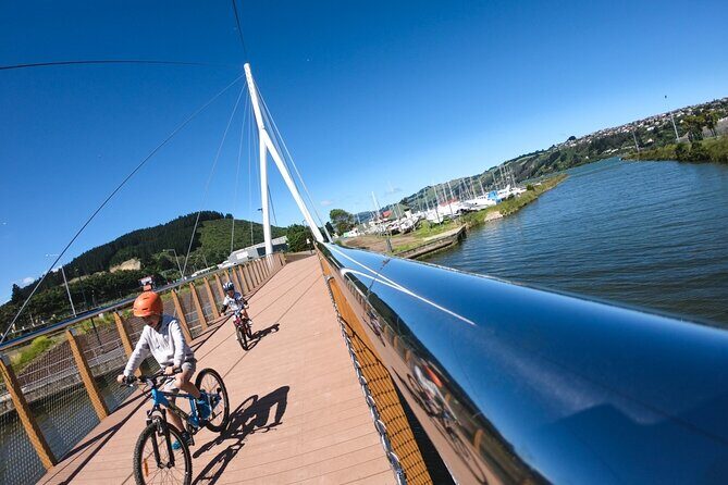 Non-Electric Bike Rental - Authentic Feedback and What Makes It Special