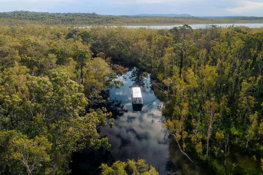 Noosa: Afternoon Cruise through the Noosa Everglades - What to Expect on the Cruise
