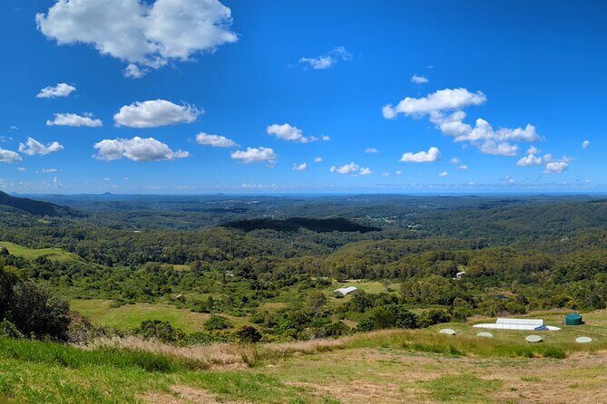 Noosa, Aussie Animals & Glass House Mountains from Brisbane - Transport, Group Size, and Practical Info
