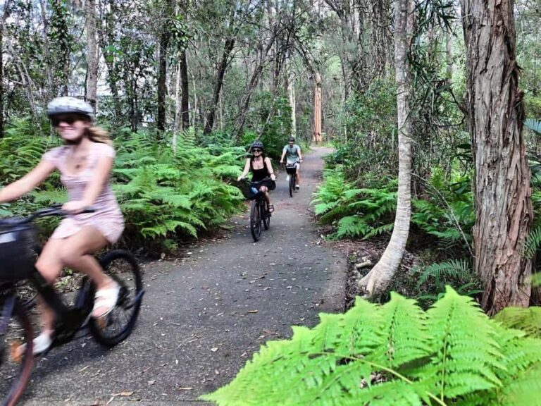Noosa: E-Bike Tour from Mt Tinbeerwah to Noosa - Why This Tour Works Well for You
