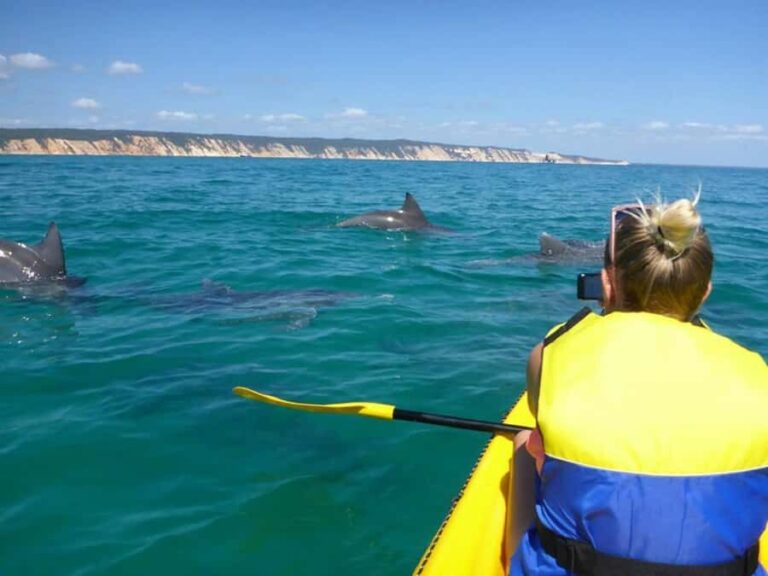 Noosa: Epic Ocean Kayak with Dolphins & 4WD Beach Adventure - An In-Depth Look at the Tour Experience