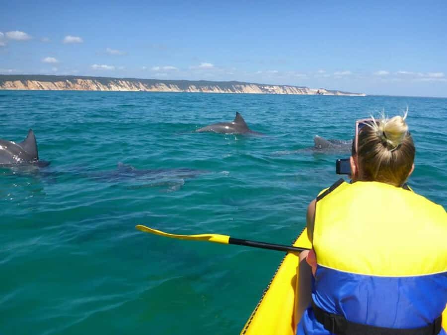 Noosa: Epic Ocean Kayak with Dolphins & 4WD Beach Adventure - An In-Depth Look at the Tour Experience