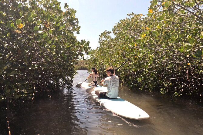 Noosa: Epic Stand Up Paddle Stingray & Mangrove Tunnel Tour - Final Thoughts: Is It Worth It?
