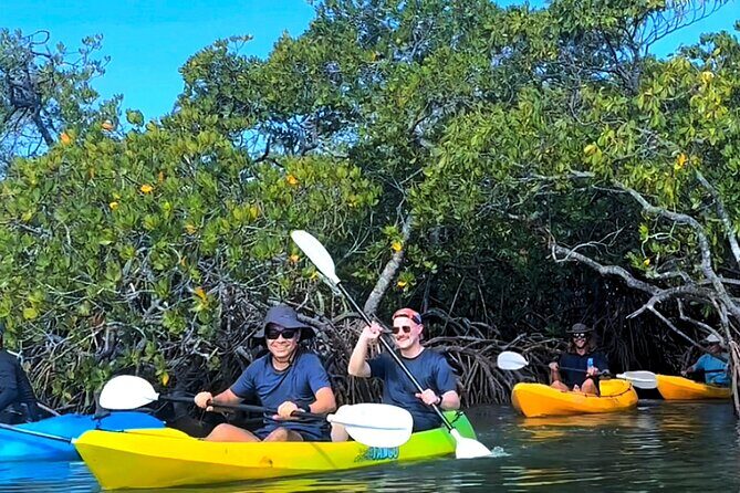Noosa Heads: Epic Hidden Waterways & Wildlife Kayak Tour - The Sum Up