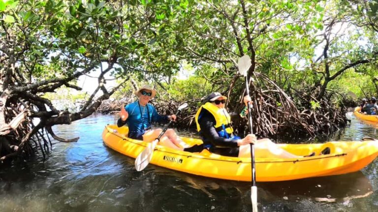 Noosa Heads: Hidden Waterways Wildlife Kayak (Self-Guided) - Practicalities and Logistics