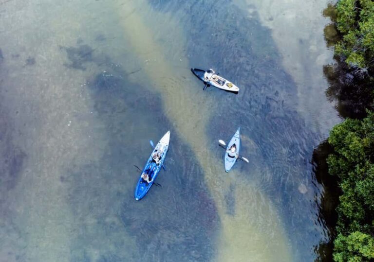 Noosa: Noosa Everglades and Stingray Sanctuary Kayak Tour - Authentic Experiences from Recent Participants