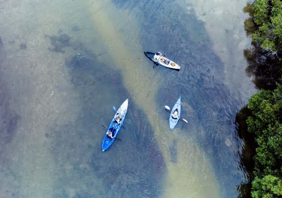 Noosa: Noosa Everglades and Stingray Sanctuary Kayak Tour - Authentic Experiences from Recent Participants