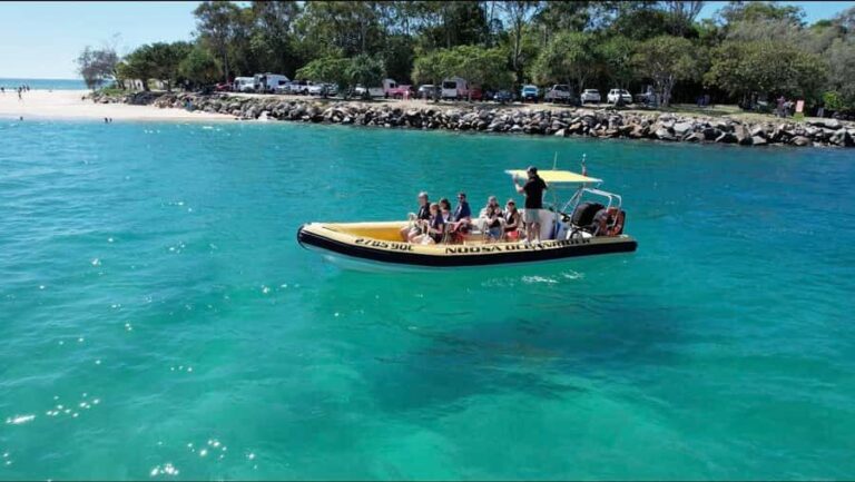 Noosa Ocean adventure & Dolphin Safari. - Who Should Consider This Tour?