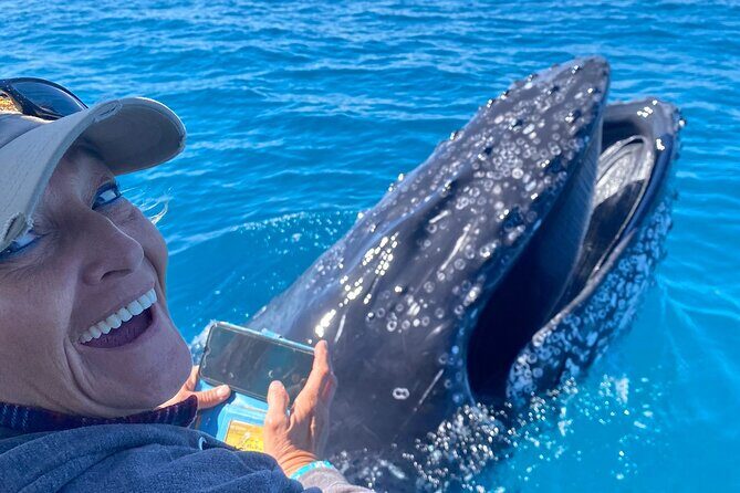 Noosa Ocean Adventures: Whale Watch - Frequently Asked Questions