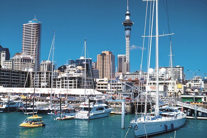 North Island Four-Day Highlights Tour from Auckland - The Transport and Group Size