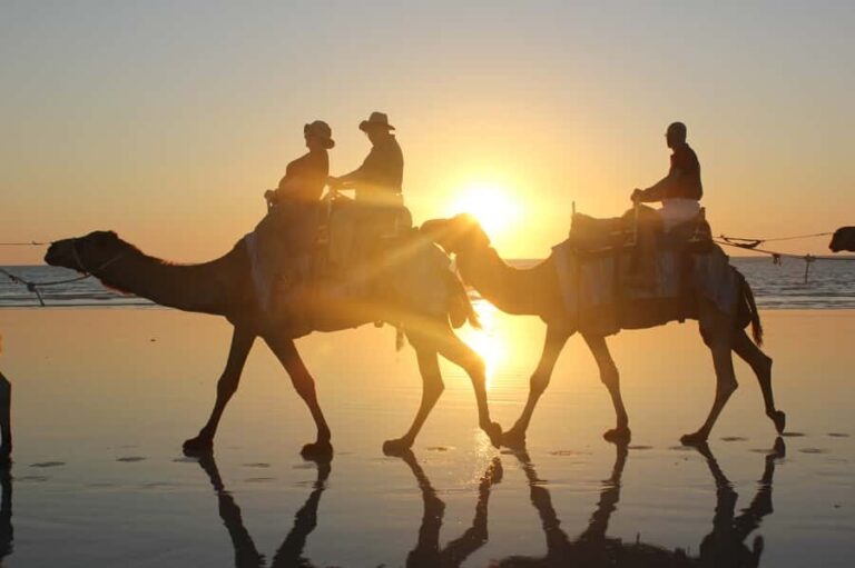 North of Rocks on Cable Beach: 1-Hour Sunset Camel Ride - What You Can Expect in Detail