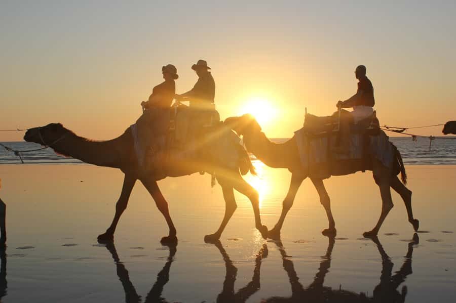 North of Rocks on Cable Beach: 1-Hour Sunset Camel Ride - What You Can Expect in Detail