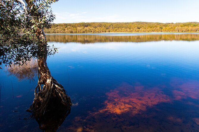 North Stradbroke Island Private Tour with Pickup - Authentic Feedback from Travelers
