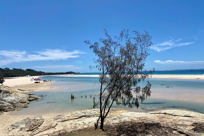 North Stradbroke Island WILDLIFE Adventure Tour from Brisbane - The Value of This Tour