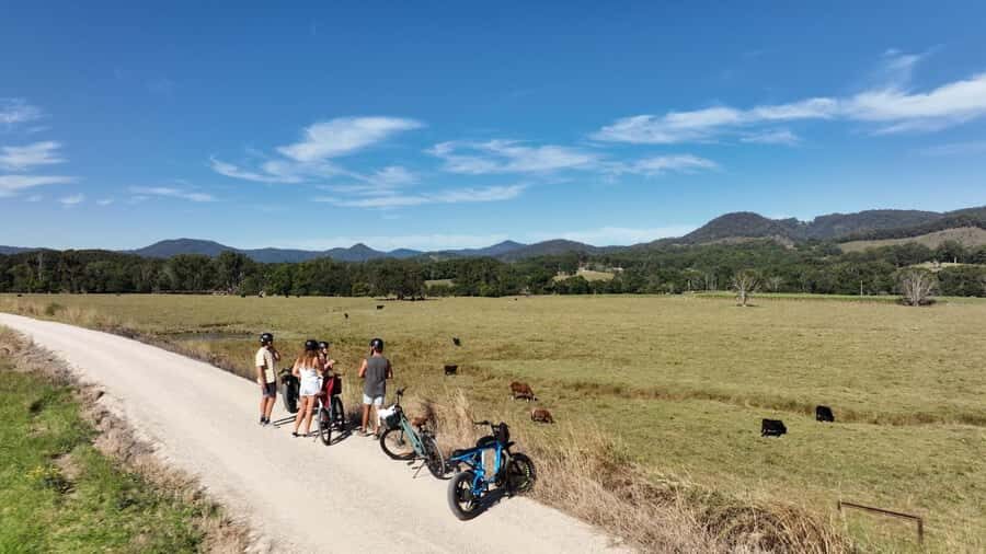 Northern Rivers Rail Trail E-Bike Hire w Shuttle from Byron - Practical Tips for Your Trip