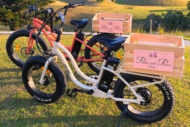 Northern Rivers Rail Trail Ebike and DIY Picnic Hire Full Day - The Journey Through the Landscape