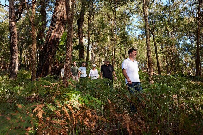 Northern Sydney Beaches and Beyond - Who Will Appreciate This Tour?