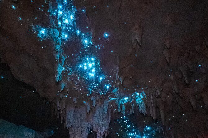 Northland Hidden Gems Glowworm Cave, Beach and Café Experience - Bennetts of Mangawhai: Chocolate Heaven