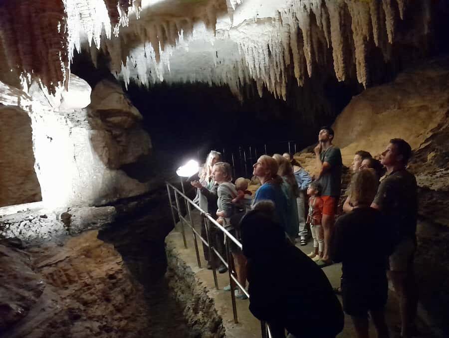 Northland Hidden Gems: Glowworm Cave, Beach & Art Café - Why Choose This Tour?