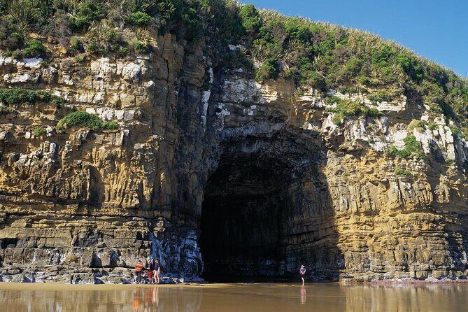 Nugget Point and Cathedral Caves Private Tour from Dunedin - What Sets This Tour Apart
