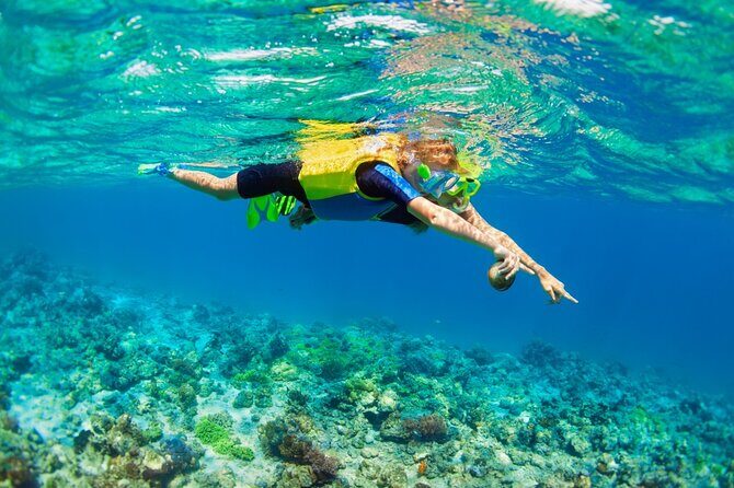 Nusa Lembongan Island: Snorkeling & Mangrove Forest Day Tour - The Sum Up