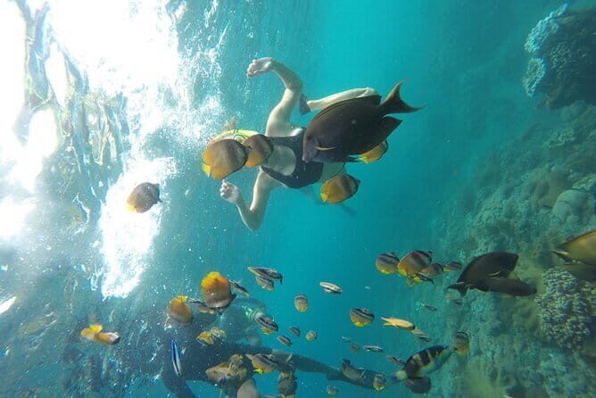 Nusa Penida Snorkling Package - Who Would Love This Experience?