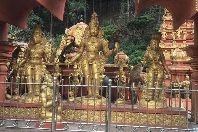 Nuwara Eliya Half Day Private Hiking and Sightseeing Tour - Who Would Enjoy This Tour?