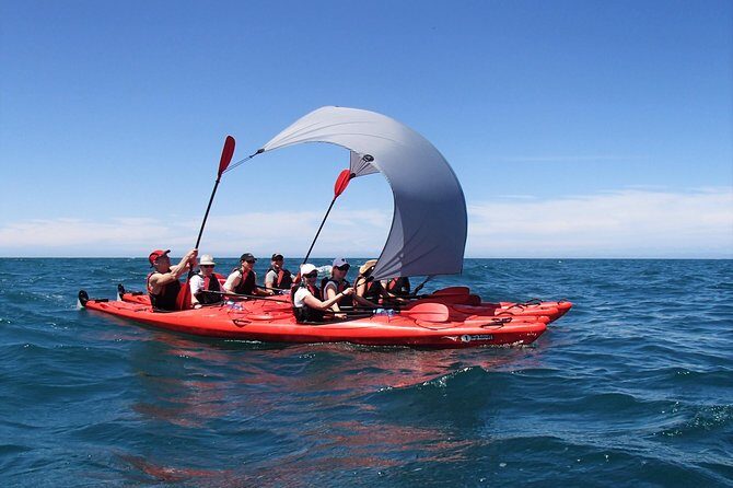 Oarsome Marine Reserve Kayak Tour - Who Will Love This Tour?