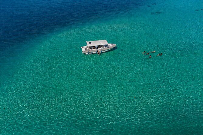 Ocean Discovery and Snorkelling in Tahiti - What to Expect on the Tour