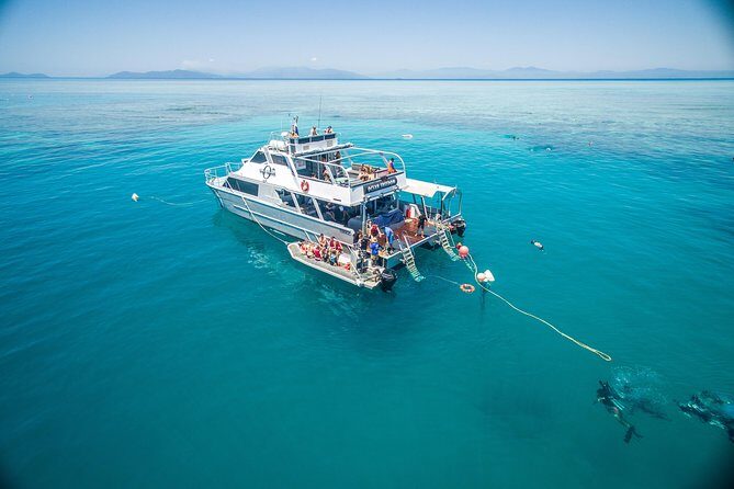Ocean Freedom Great Barrier Reef Luxury Snorkel and Dive Cruise - Final Thoughts