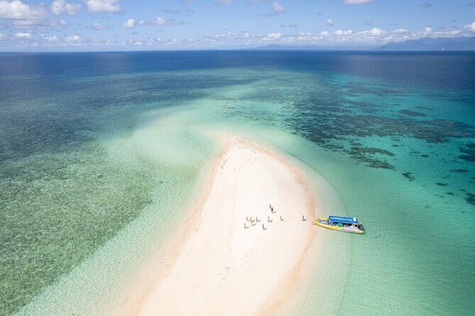 Ocean Safari Great Barrier Reef Experience in Cape Tribulation - Reef Stops and Marine Encounters