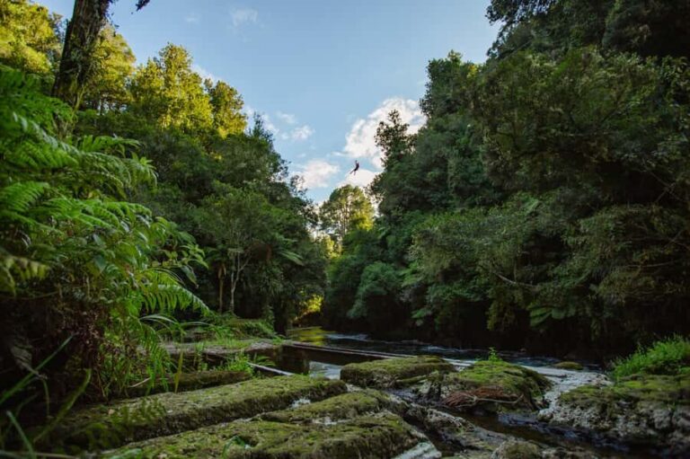 Okere Falls: Zipline over Waterfalls Experience - What to Expect During the Tour