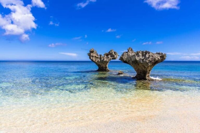 Okinawa: Churaumi Aquarium, Manzamo, Kouri Island Tour - A Full Breakdown of the Tour Experience