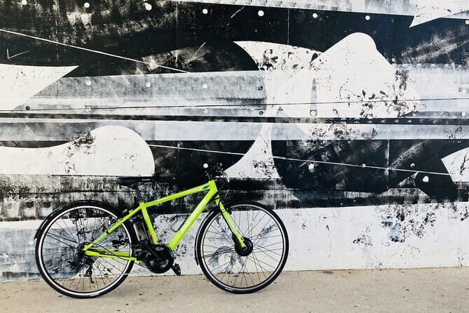 Okinawa E-bike Rental (Sporty Type) - The Bike: Comfort, Power, and Features