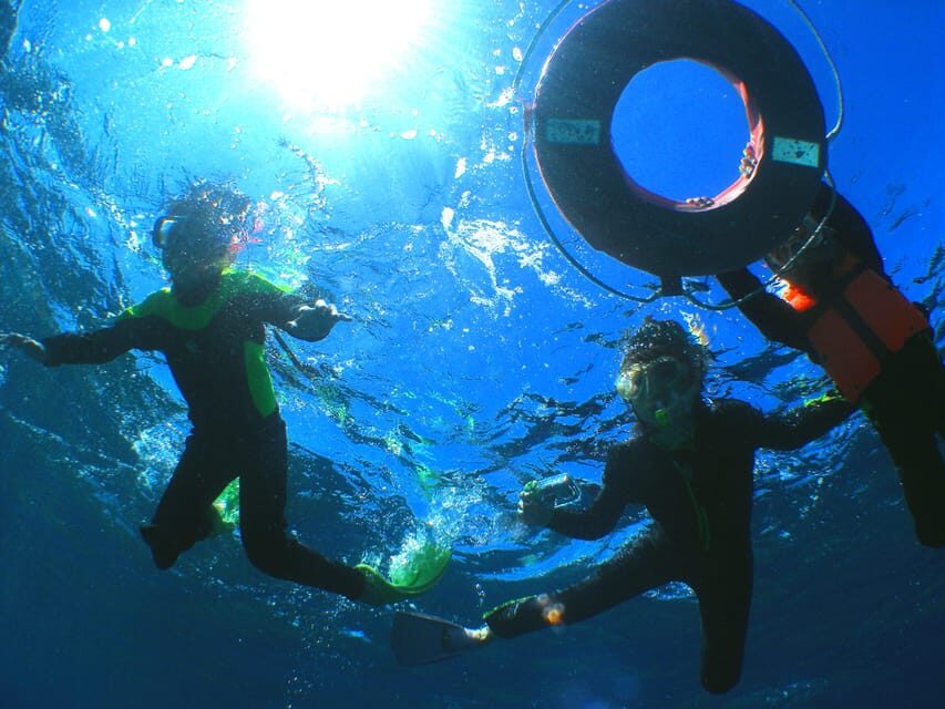 Okinawa: From Naha: Kerama Islands 1-day snorkeling tour - The Overall Experience: Why Travelers Love It