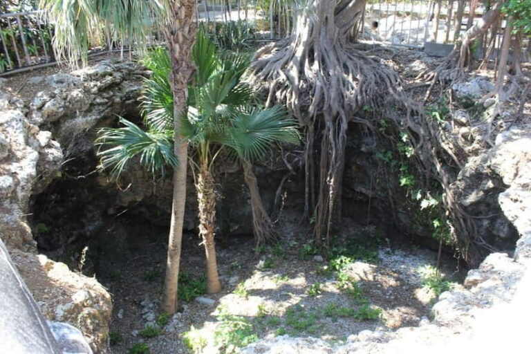 Okinawa: WWII Himeyuri Memorial & Peace Museum Guided Tour - The Practicalities: What to Expect
