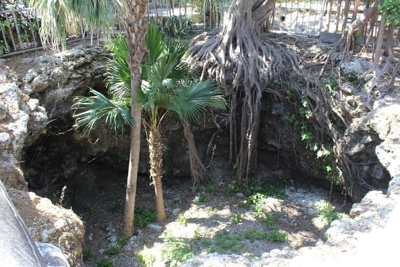 Okinawa: WWII Himeyuri Memorial & Peace Museum Guided Tour - The Practicalities: What to Expect