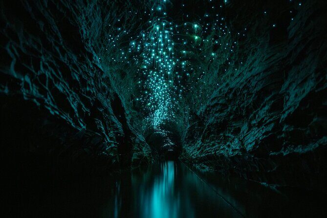 Okohua Glowworm Cave Adventure - Why This Tour Stands Out