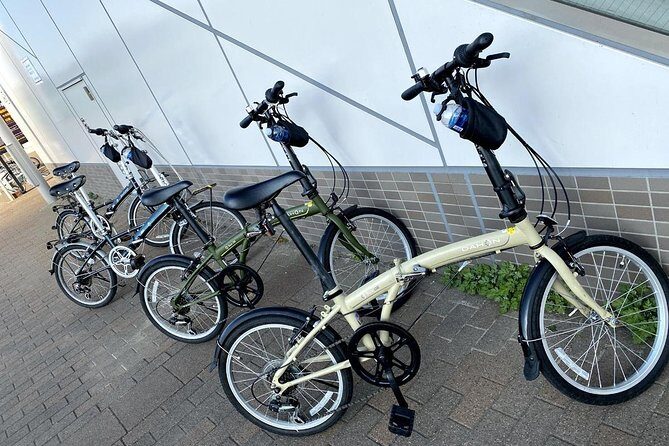 Old and New Tokyo Half Day Cycling - Tokyo Bay Olympic Sites by Bike - What to Expect During the Tour