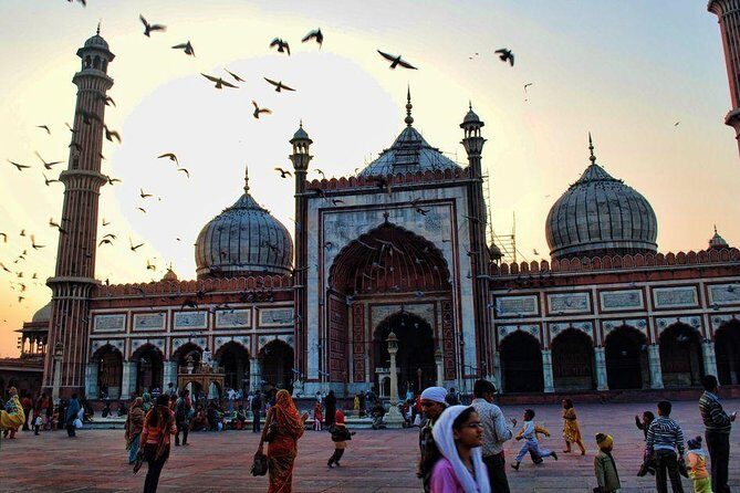 Old Delhi Half day private city tour - Who Is This Tour Best For?