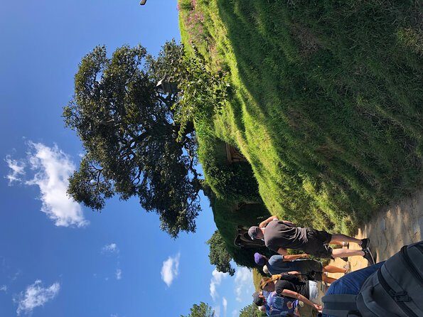 One day Hobbiton Movie set visit from Auckland - Analyzing the Value