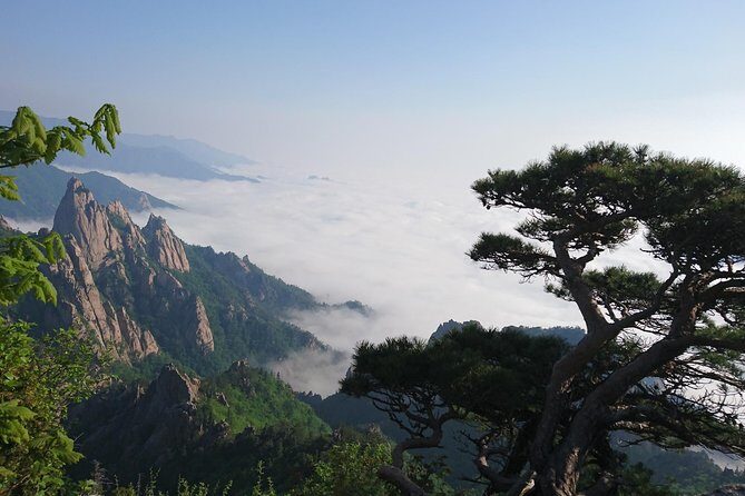 One-Day Tour for stunning Mt.Seoraksan from Seoul - What Travelers Say: Authentic Perspectives
